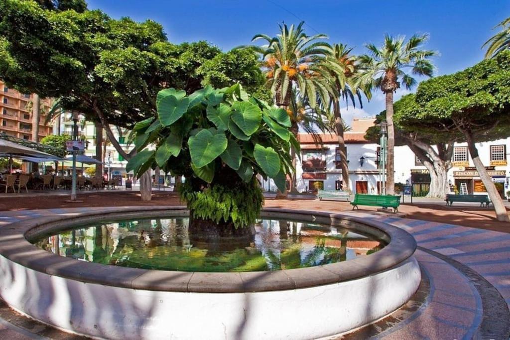Centrico, Comodo Y Bello Apto En Puerto De La Cruz Екстер'єр фото